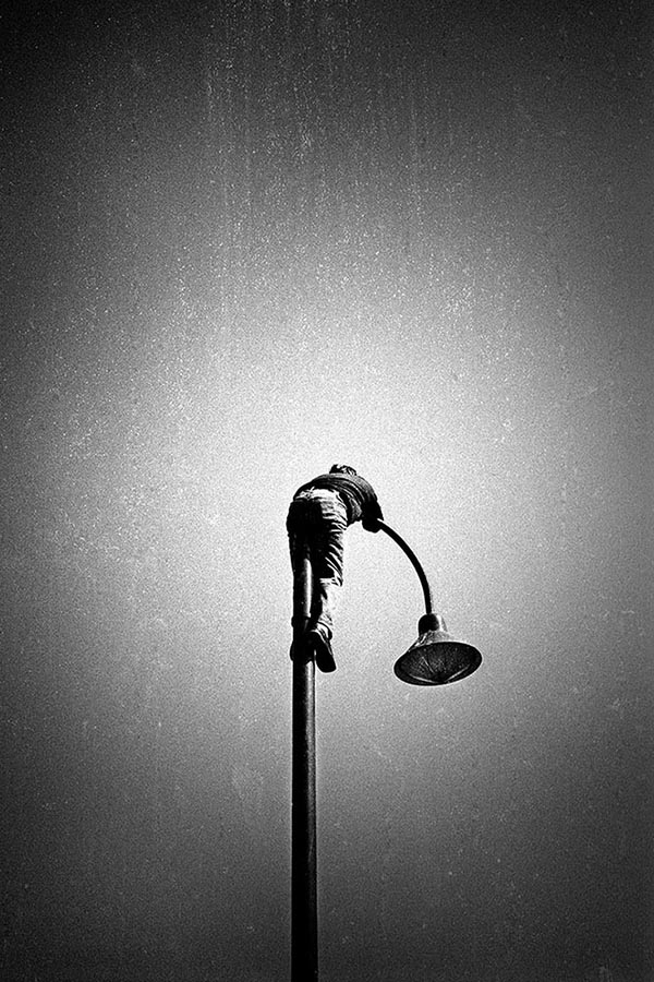 Good Dog-022-2009