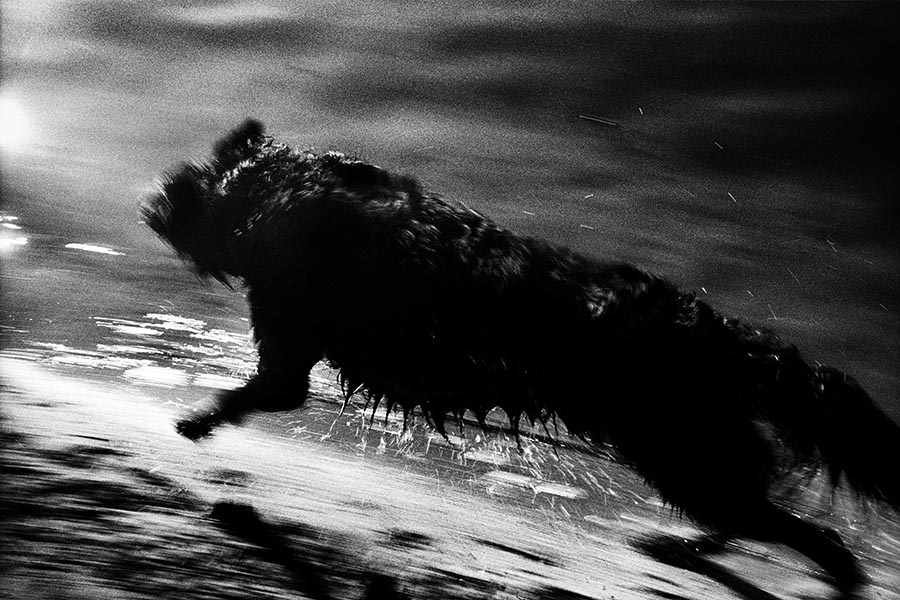 Walking (Vichy)-017-2015