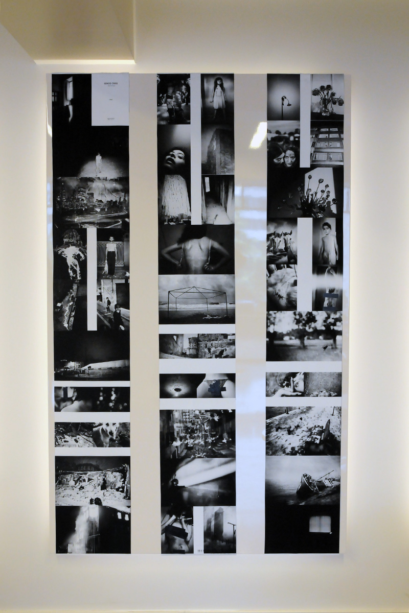 Group show, Story of Good dog