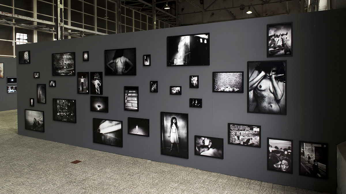 group show; pulse, noorderlicht, netherlands