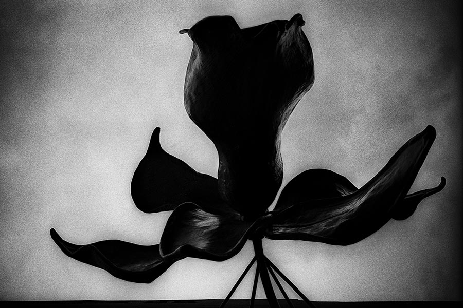 Oculus-17-2013